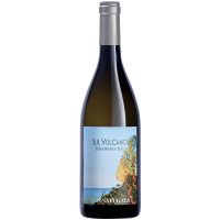 vino bianco sicilia siciliano etna bianco doc donnafugata sul vulcano carricane versante nord dell'etna